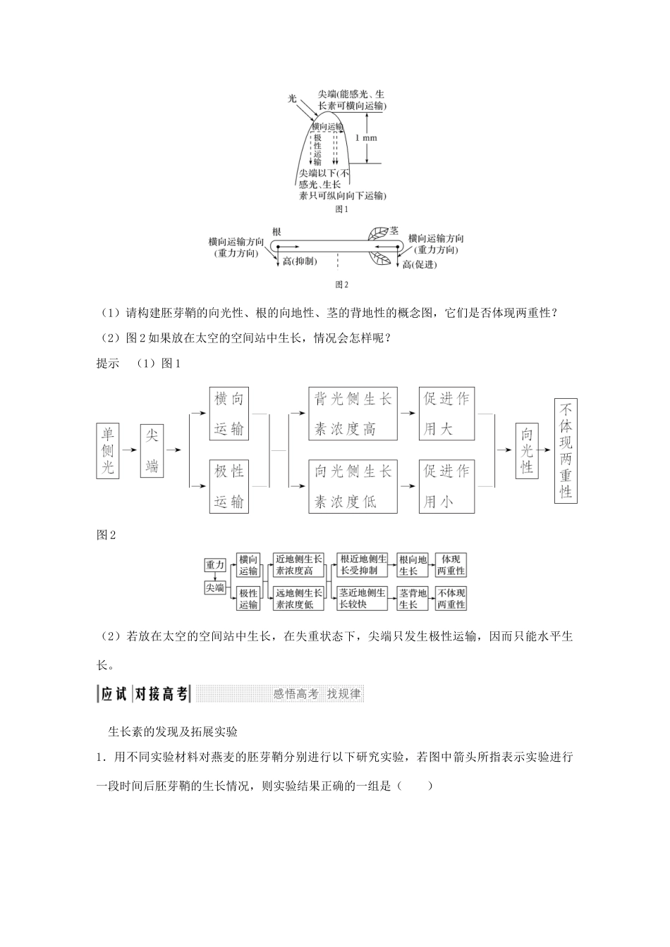 高考生物总复习 第26讲 植物的激素调节教案 苏教版-苏教版高三全册生物教案_第3页