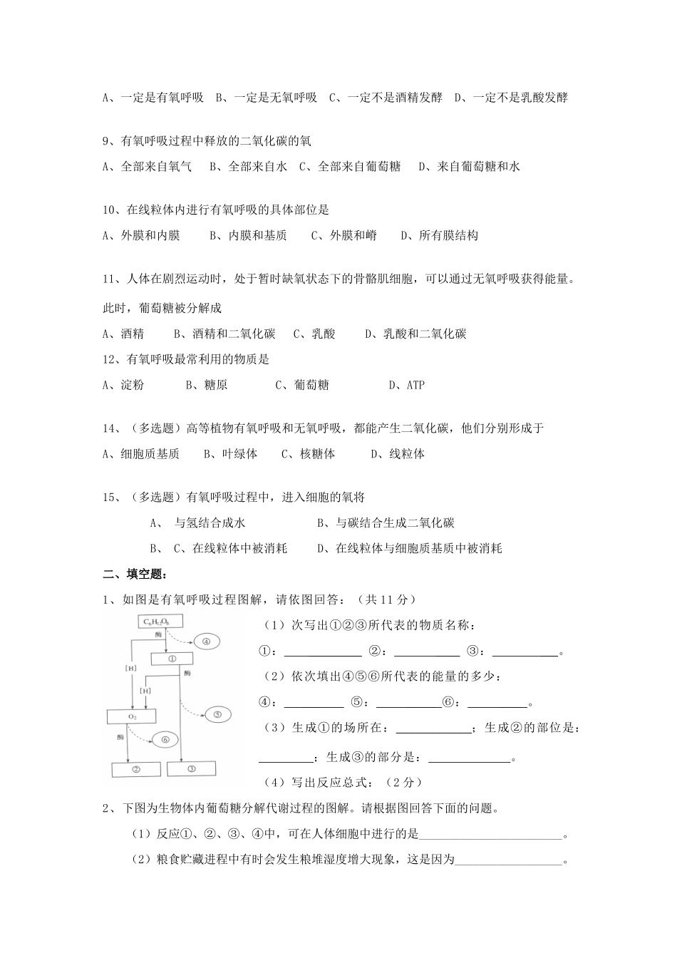 高中生物《ATP的主要来源——细胞呼吸》教案2 新人教版必修1_第2页
