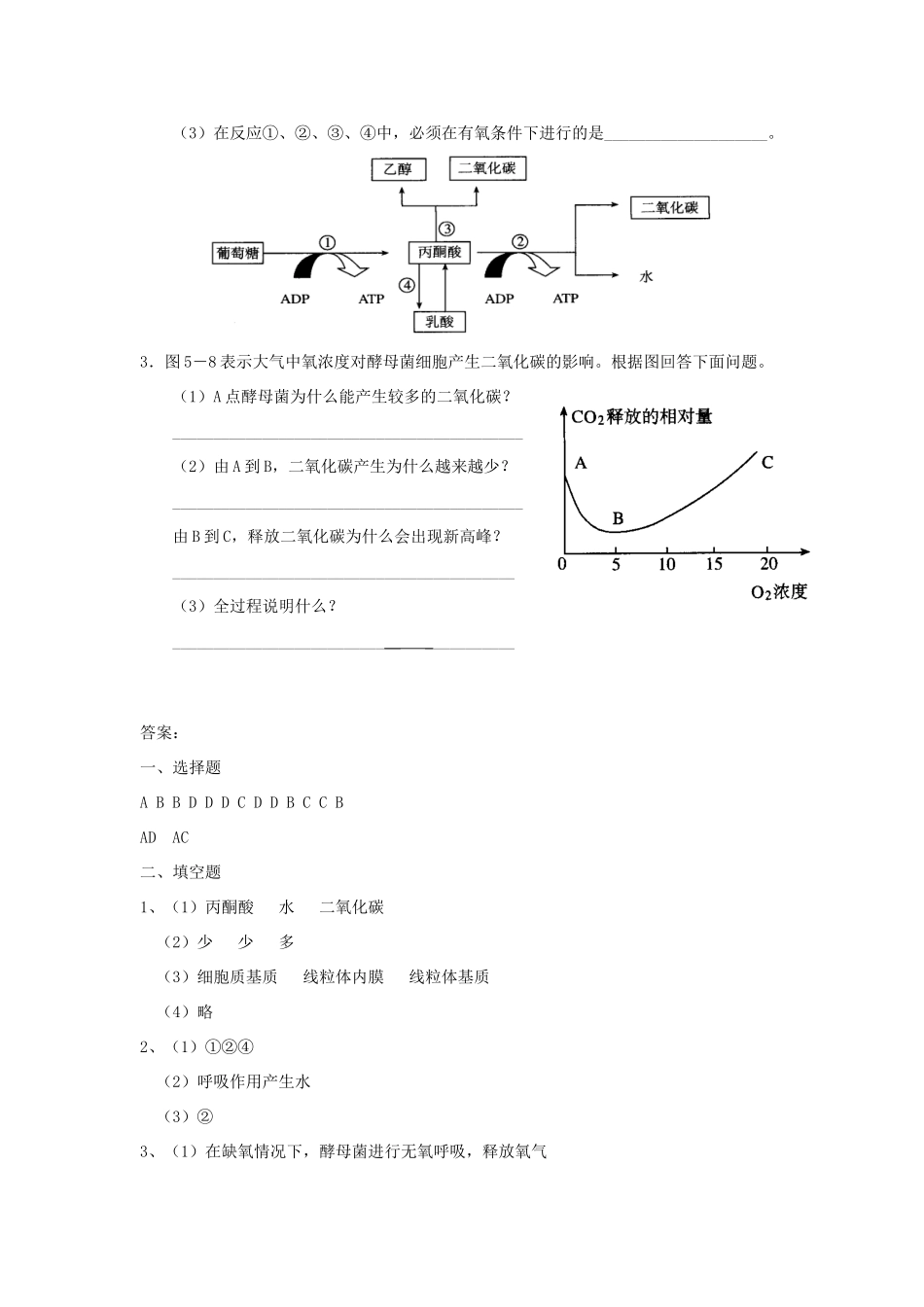 高中生物《ATP的主要来源——细胞呼吸》教案2 新人教版必修1_第3页