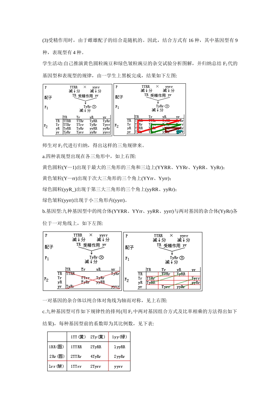 高中生物 ：自由组合规律试验 教案 中图版必修2_第3页