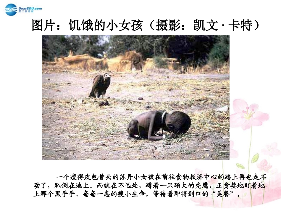 七年级生物下册 第九章 第一节 人体需要的主要营养物质课件4 （新版）苏教版_第3页