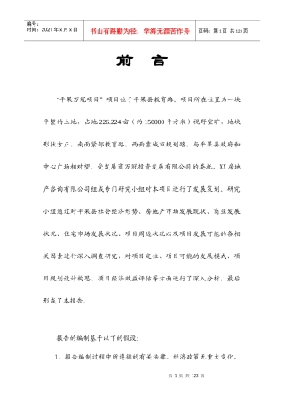【房地产精品资料】平果万冠商业广场策划报告