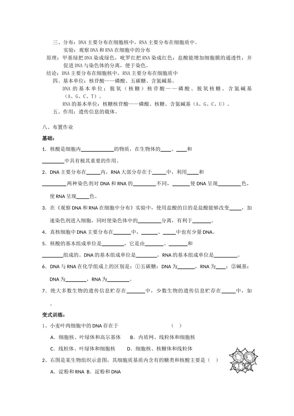 高中生物生物：2.3《遗传信息的携带者-核酸》教案新人教版必修1_第3页