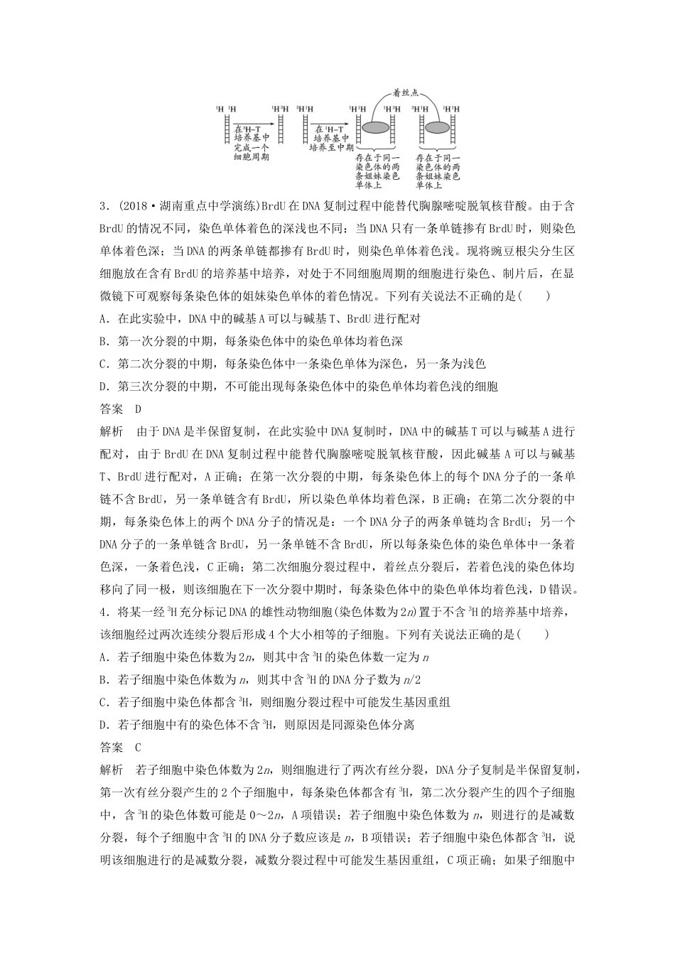 （江苏专用）高考生物新导学大一轮复习 第六单元 遗传的分子基础 热点题型七 DNA复制与细胞分裂中染色体标记问题讲义（含解析）苏教版-苏教版高三全册生物教案_第3页