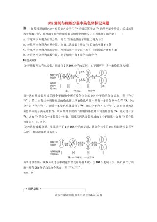 （江苏专用）高考生物新导学大一轮复习 第六单元 遗传的分子基础 热点题型七 DNA复制与细胞分裂中染色体标记问题讲义（含解析）苏教版-苏教版高三全册生物教案