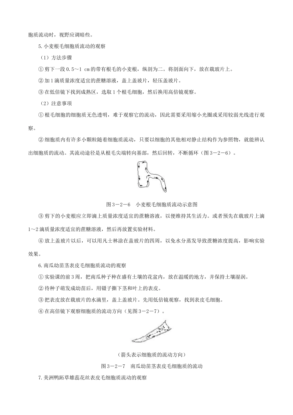 高中生物细胞器 系统内的分工合作备课资料1 新课标 人教版 必修1_第2页