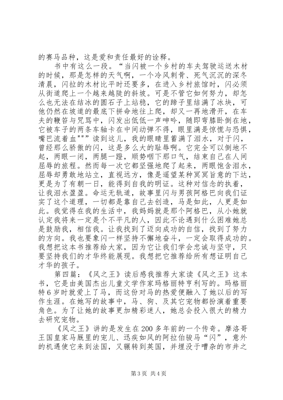 《风之王》读后感 _第3页