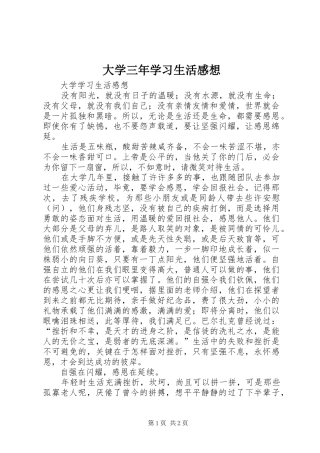 大学三年学习生活感想 