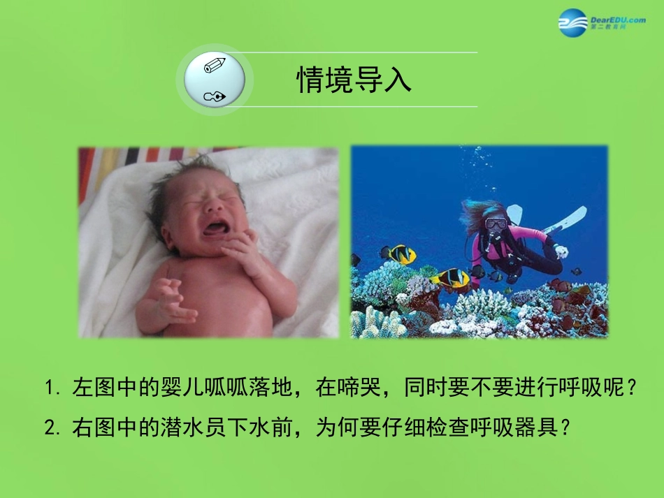 七年级生物下册 第二章 第1节《人体与外界的气体交换》课件 （新版）济南版_第2页