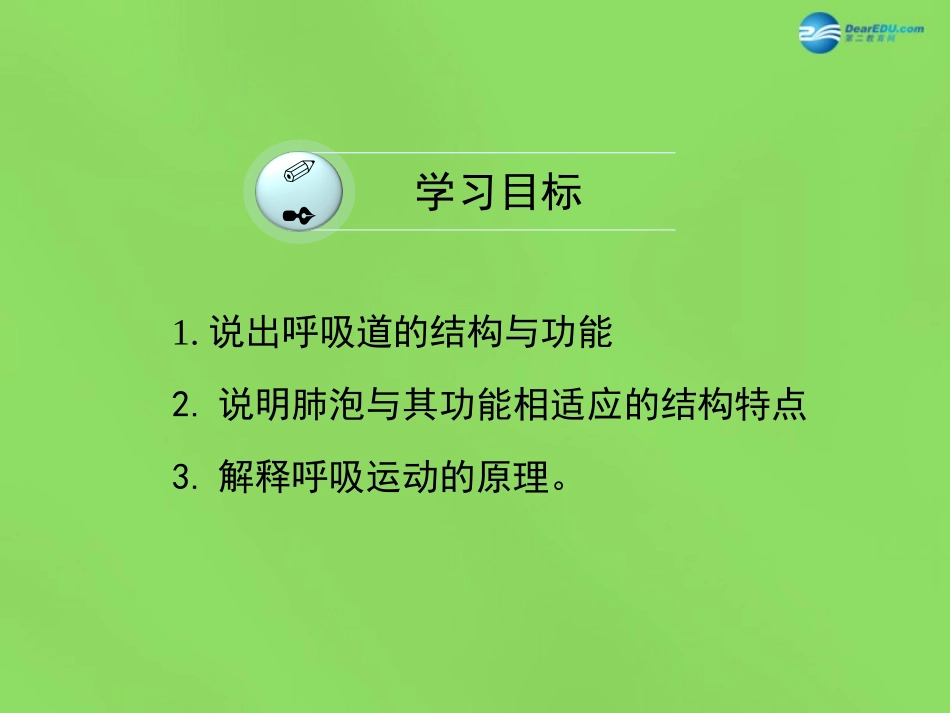 七年级生物下册 第二章 第1节《人体与外界的气体交换》课件 （新版）济南版_第3页
