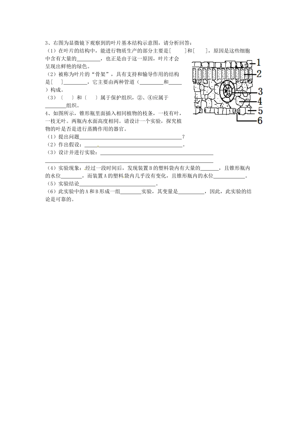 七年级生物上册 3.3 绿色植物与生物圈的水循环导学案 （新版）新人教版_第2页