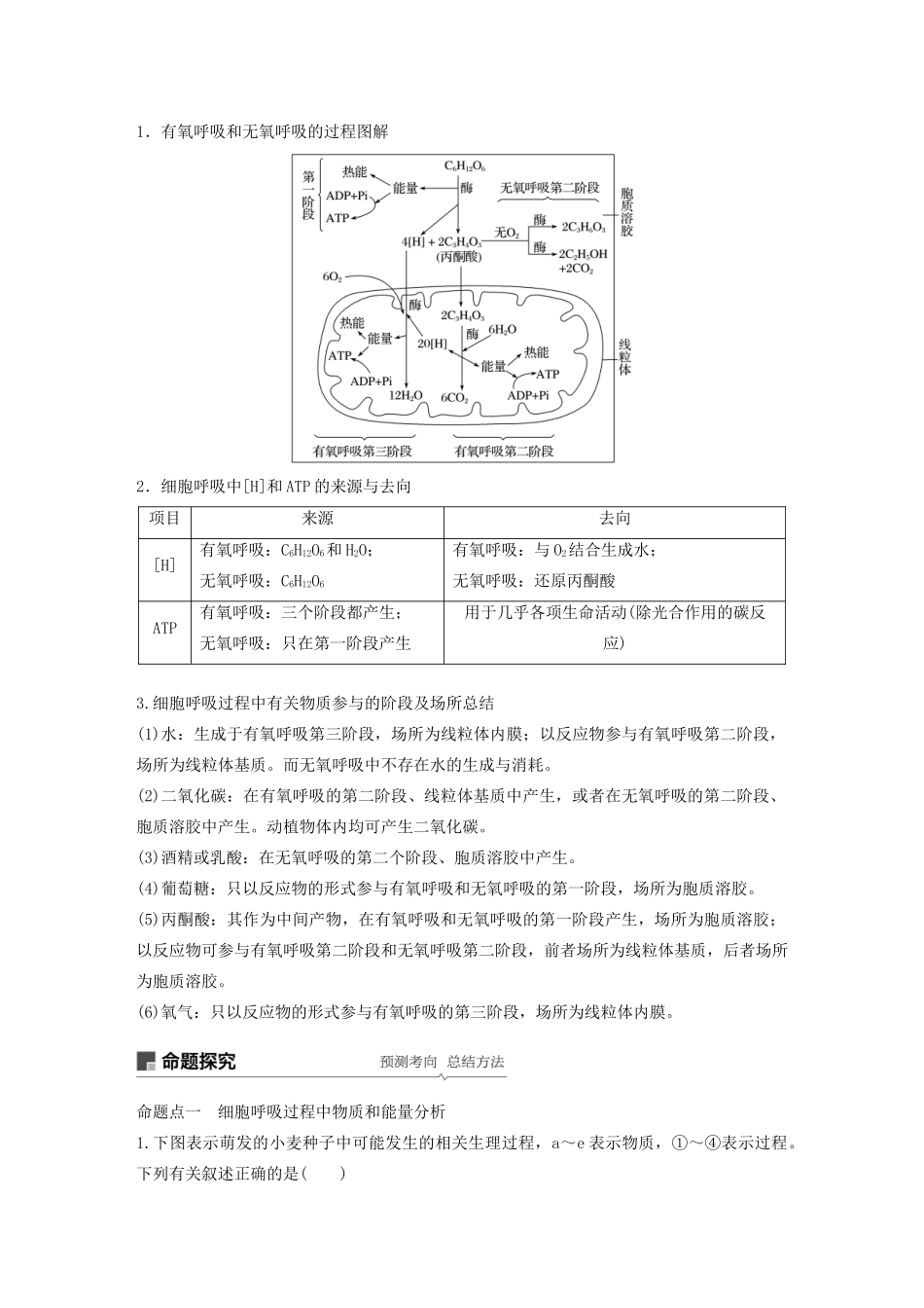 高考生物新导学大一轮复习 第三单元 细胞的能量代谢 第8讲 细胞呼吸讲义（含解析）北师大版-北师大版高三全册生物教案_第3页