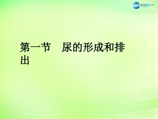 七年级生物下册 3.4.1 尿的形成和排出课件1 济南版