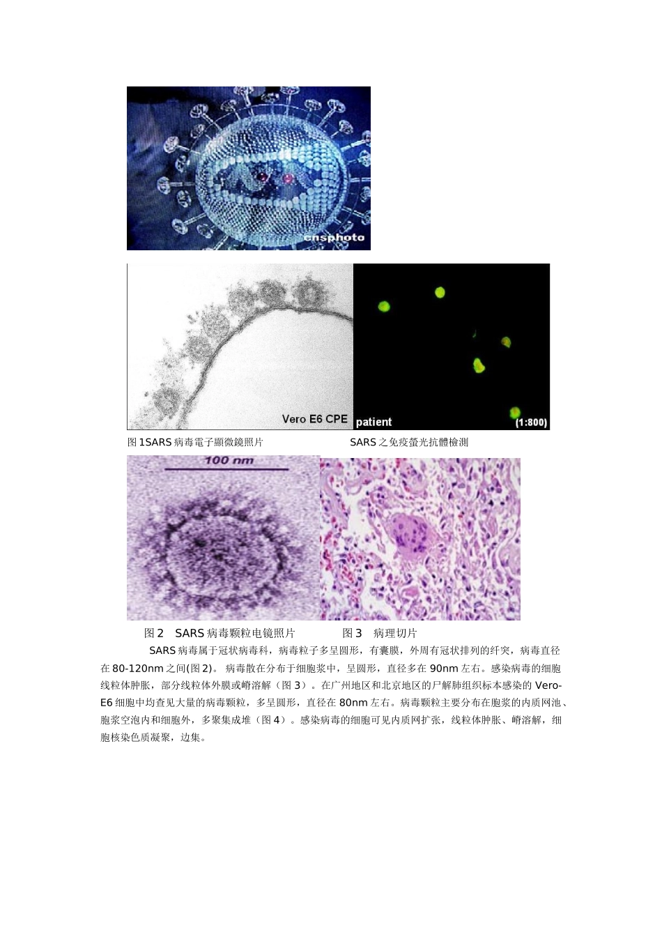 高中生物分子与细胞（word版全套教案共101页）新人教版必修1_第2页