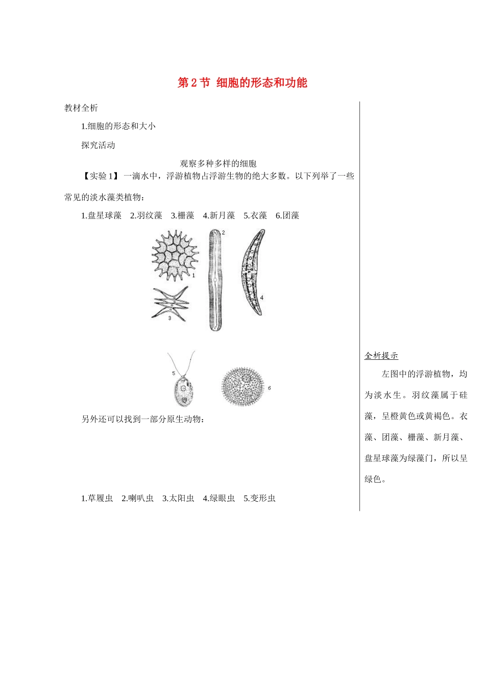 高中生物：1.1.2《细胞的形态和功能》教案（4）（中图版必修1）_第1页