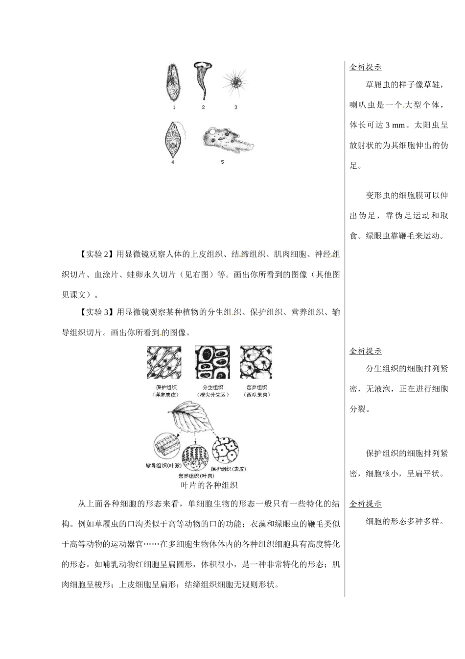 高中生物：1.1.2《细胞的形态和功能》教案（4）（中图版必修1）_第2页