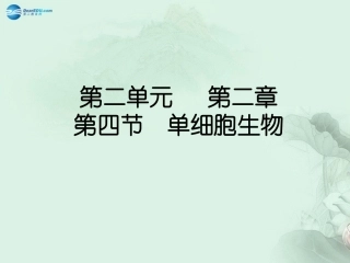七年级生物上册 2.2.4 单细胞生物课件 （新版）新人教版