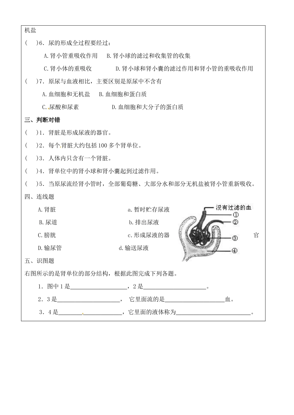 七年级生物下册 第5章第1节尿的形成和排出教案 人教新课标版_第3页