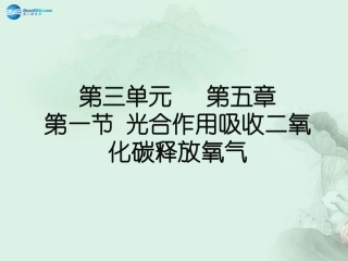 七年级生物上册 3.5.1 光合作用吸收二氧化碳释放氧气课件 （新版）新人教版