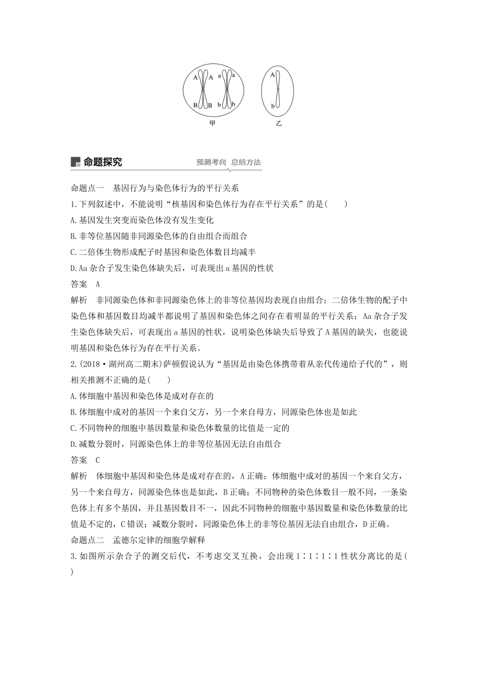 （浙江选考）高考生物新导学大一轮复习 第15讲 遗传的染色体学说、伴性遗传讲义-人教版高三全册生物教案_第3页
