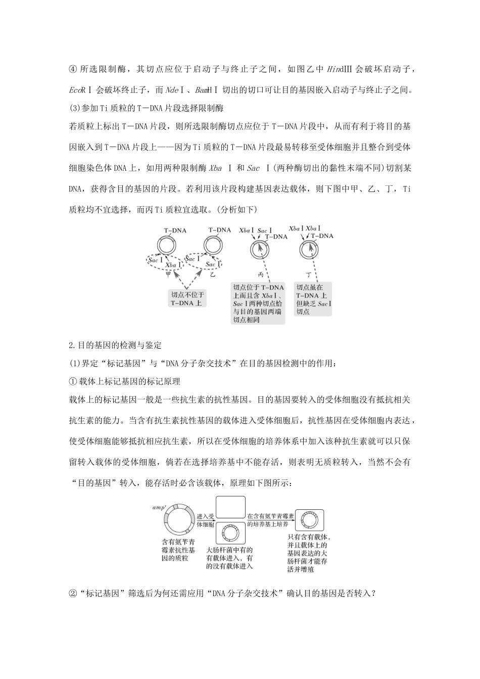 （鲁京津琼）高考生物总复习 考点加强课6教案-人教版高三全册生物教案_第2页