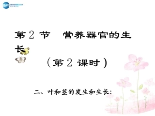 七年级生物上册 第6章 第2节 营养器官的生长课件2 北师大版