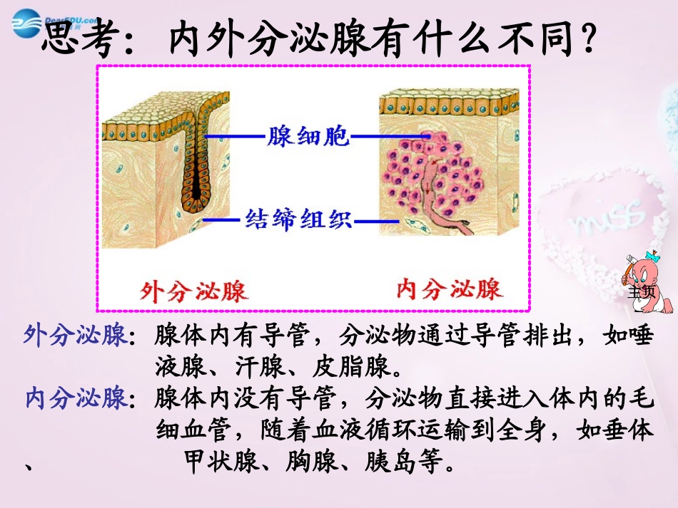 山东省泰安新泰市七年级生物下册 4.6.4 激素调节课件 新人教版_第2页
