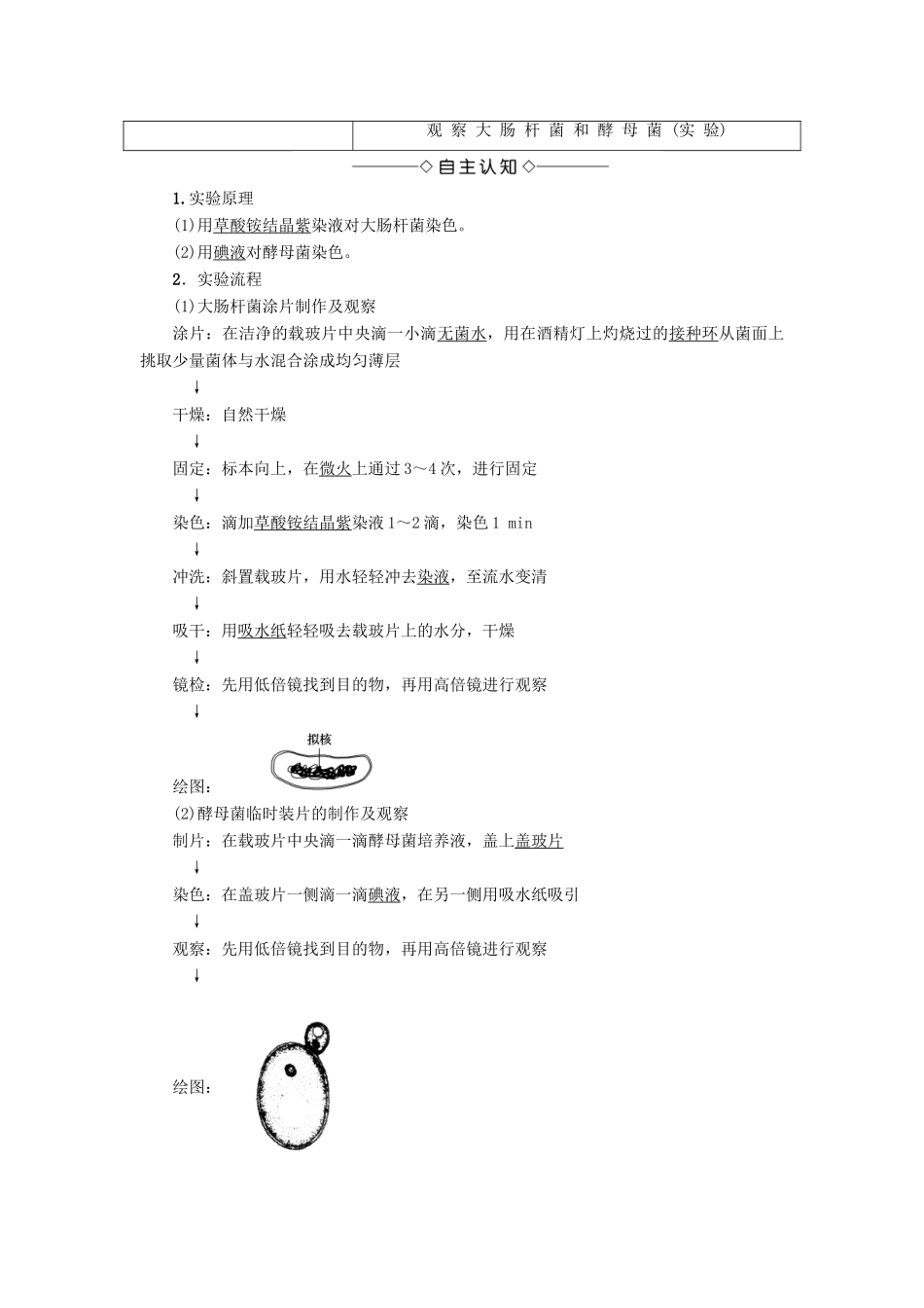 高中生物 第1单元 第2章 第3节 真核细胞与原核细胞教案 中图版必修1-中图版高中必修1生物教案_第3页