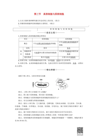 高中生物 第1单元 第2章 第3节 真核细胞与原核细胞教案 中图版必修1-中图版高中必修1生物教案
