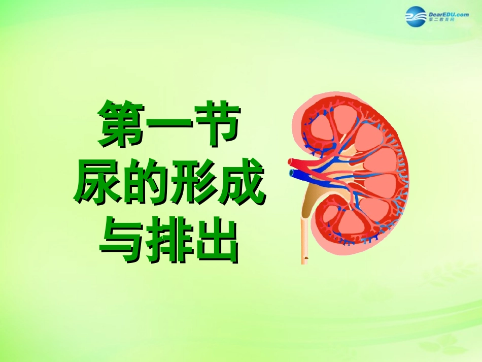 七年级生物下册 3.4.1 尿的形成和排出课件2 济南版_第1页