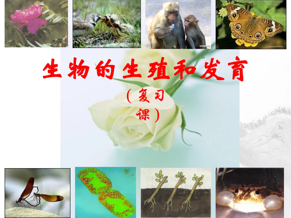 山东省临沂市蒙阴县第四中学八年级生物下册 第七单元 第一章 生物的生殖和发育复习课件 （新版）新人教版_第1页