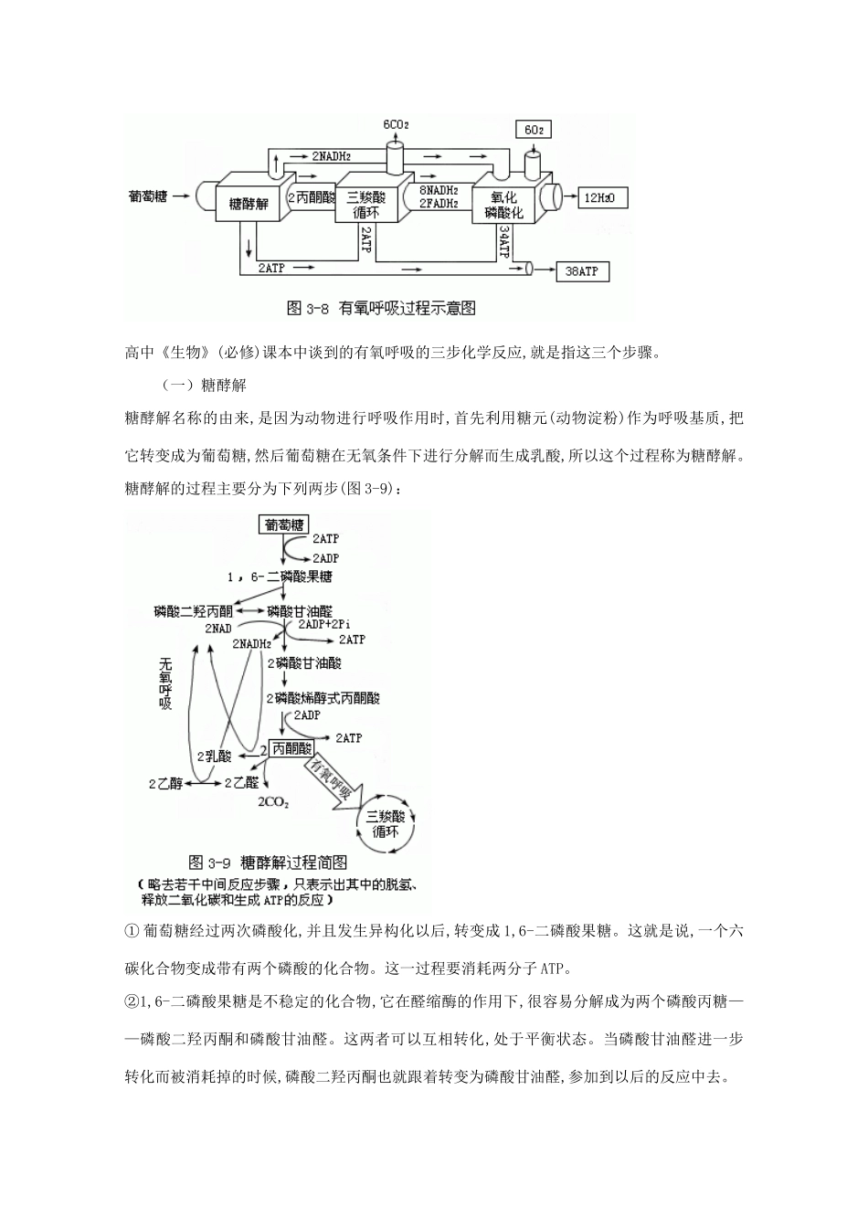 高中生物《细胞呼吸》教案1 苏教版必修1_第3页