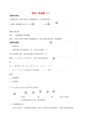 九年级数学下册 解三角形锐角三角函数教案 人教新课标版