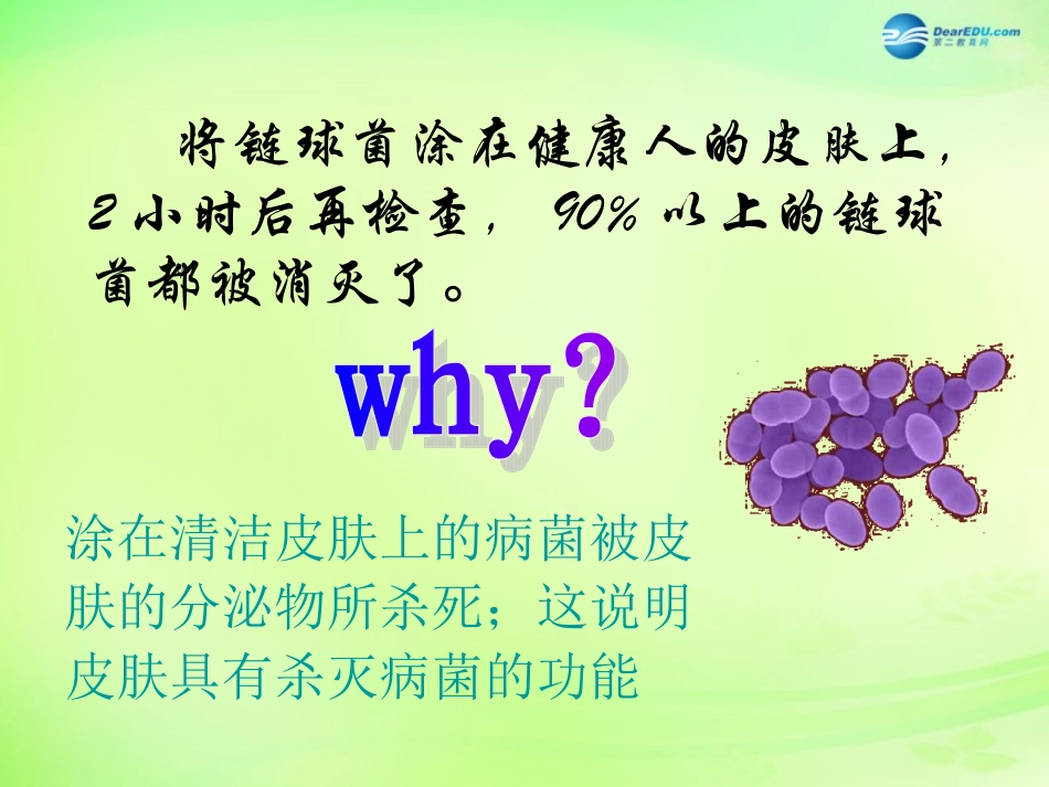 七年级生物下册 3.6.1 人体的免疫功能课件 （新版）济南版_第3页