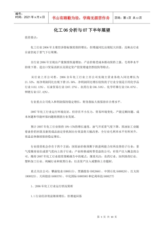 化工06分析与07下半年展望
