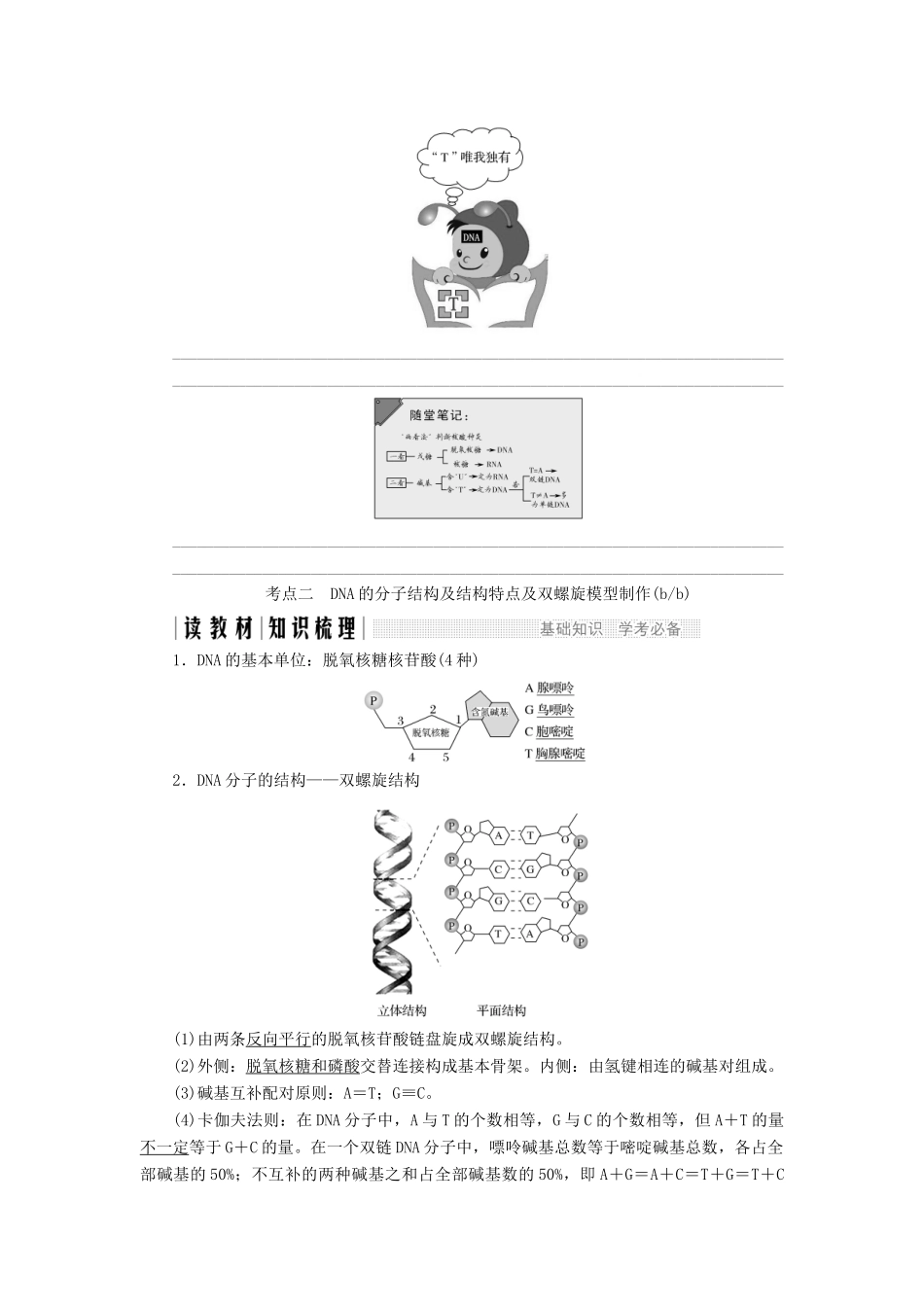 高中生物 第三章 遗传的分子基础 第12课时 DNA的分子结构和特点教案（必修2）-人教版高中必修2生物教案_第2页