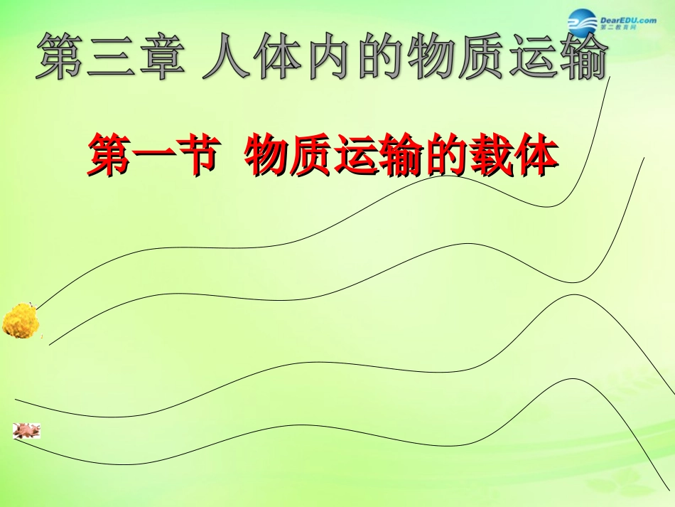 七年级生物下册 3.3.1 物质运输的载体课件2 （新版）济南版_第2页