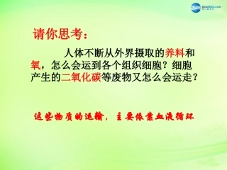 七年级生物下册 3.3.1 物质运输的载体课件2 （新版）济南版