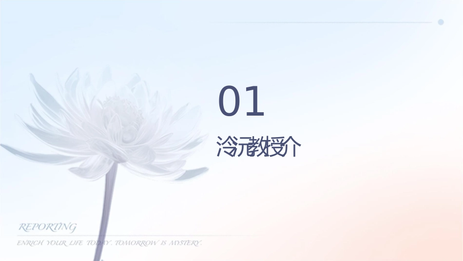 顾泠沅教授的讲座课件_第3页
