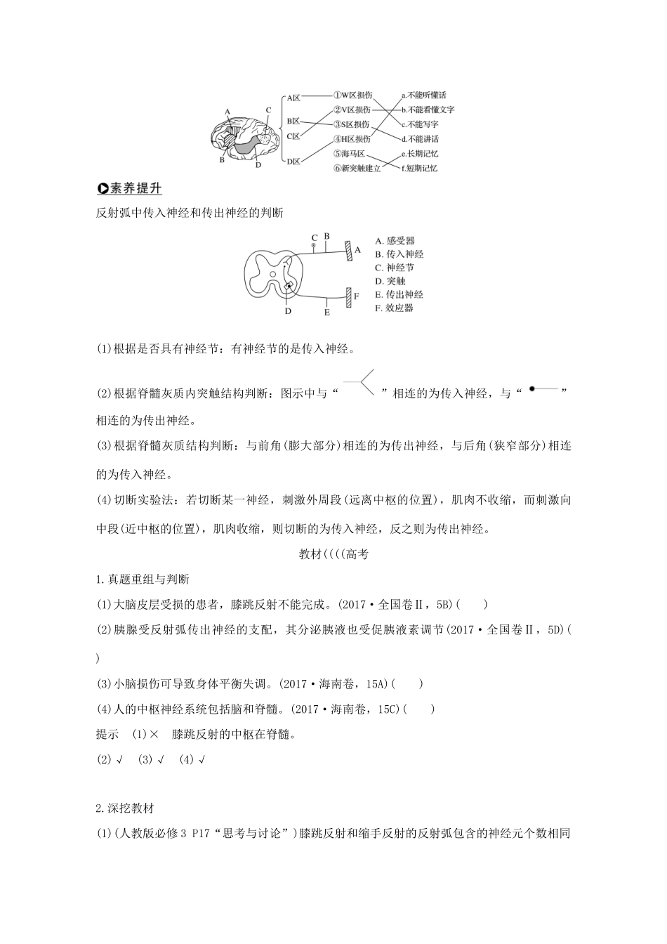 （鲁京津琼）高考生物总复习 第23讲 通过神经系统的调节教案-人教版高三全册生物教案_第3页