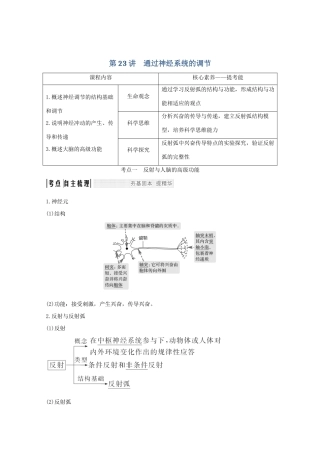 （鲁京津琼）高考生物总复习 第23讲 通过神经系统的调节教案-人教版高三全册生物教案