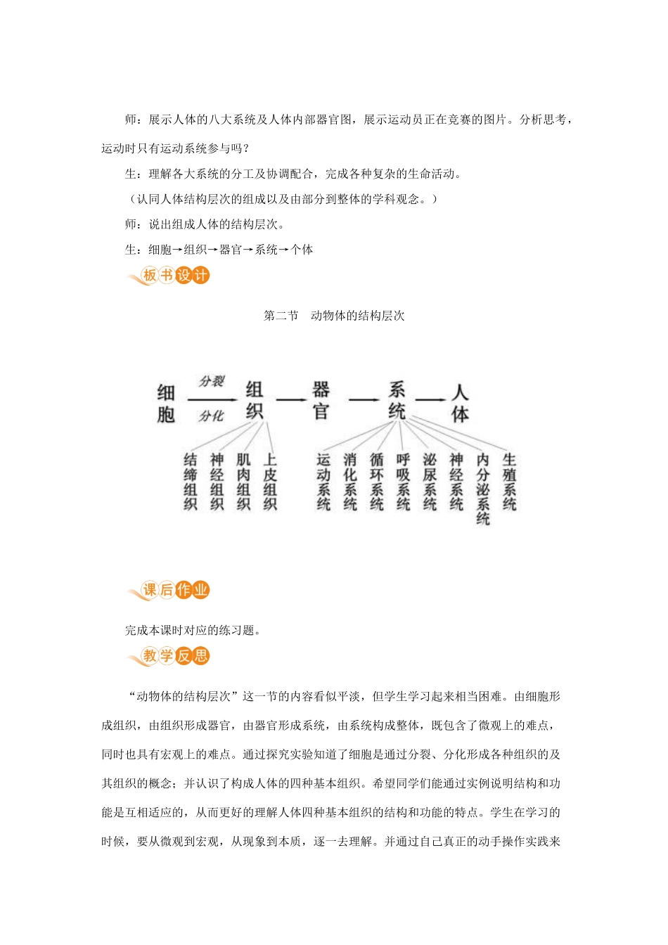七年级生物上册 第二单元 生物体的结构层次 第二章 细胞怎样构成生物体 第二节 动物体的结构层次教案 （新版）新人教版-（新版）新人教版初中七年级上册生物教案_第3页
