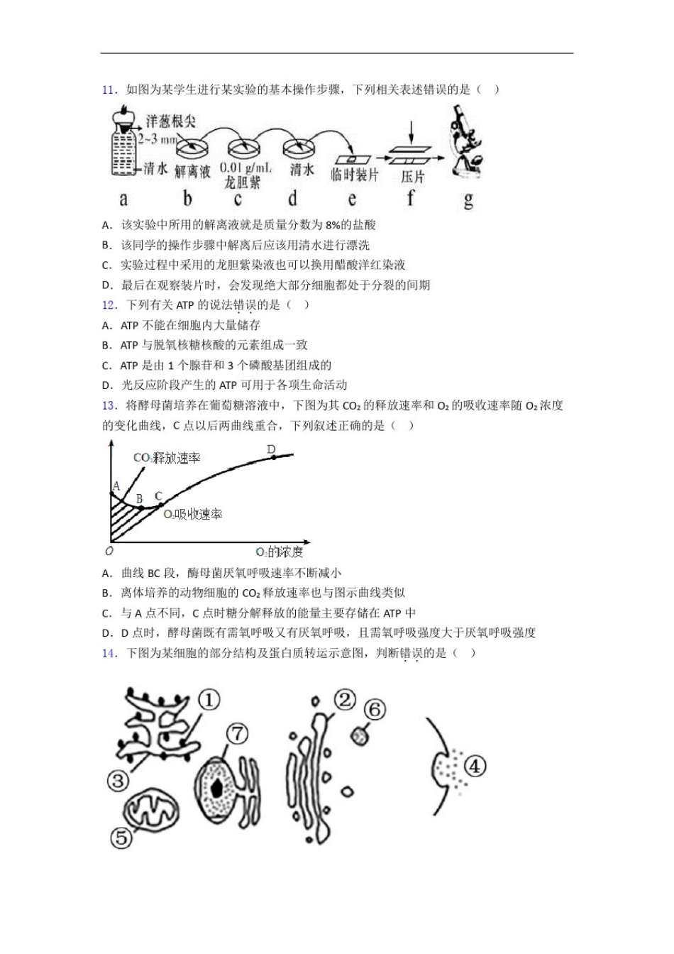 人教高一上学期12月月考生物试题_第3页