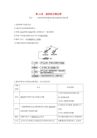 高考生物一轮复习 第五单元 孟德尔定律和伴性遗传 第14讲 基因的分离定律教案 新人教版-新人教版高三全册生物教案