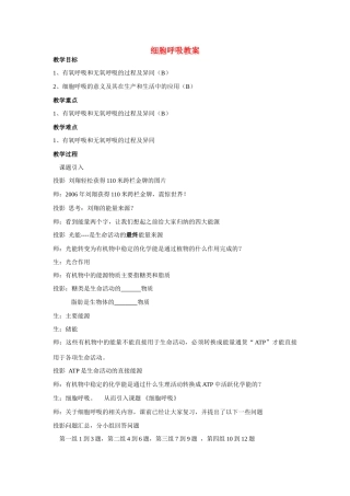 高中生物《细胞呼吸》教案5 苏教版必修1 苏教版必修1