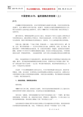 中国营销20年猛药催熟的青春期上(1)