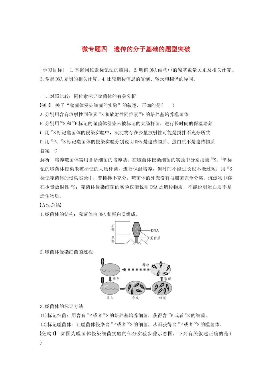 高中生物 第三章 遗传的分子基础 微专题四 遗传的分子基础的题型突破教案 浙科版必修2-浙科版高中必修2生物教案_第1页