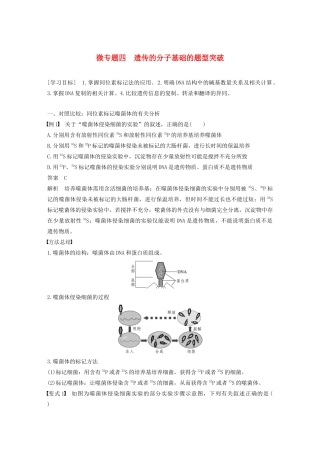 高中生物 第三章 遗传的分子基础 微专题四 遗传的分子基础的题型突破教案 浙科版必修2-浙科版高中必修2生物教案