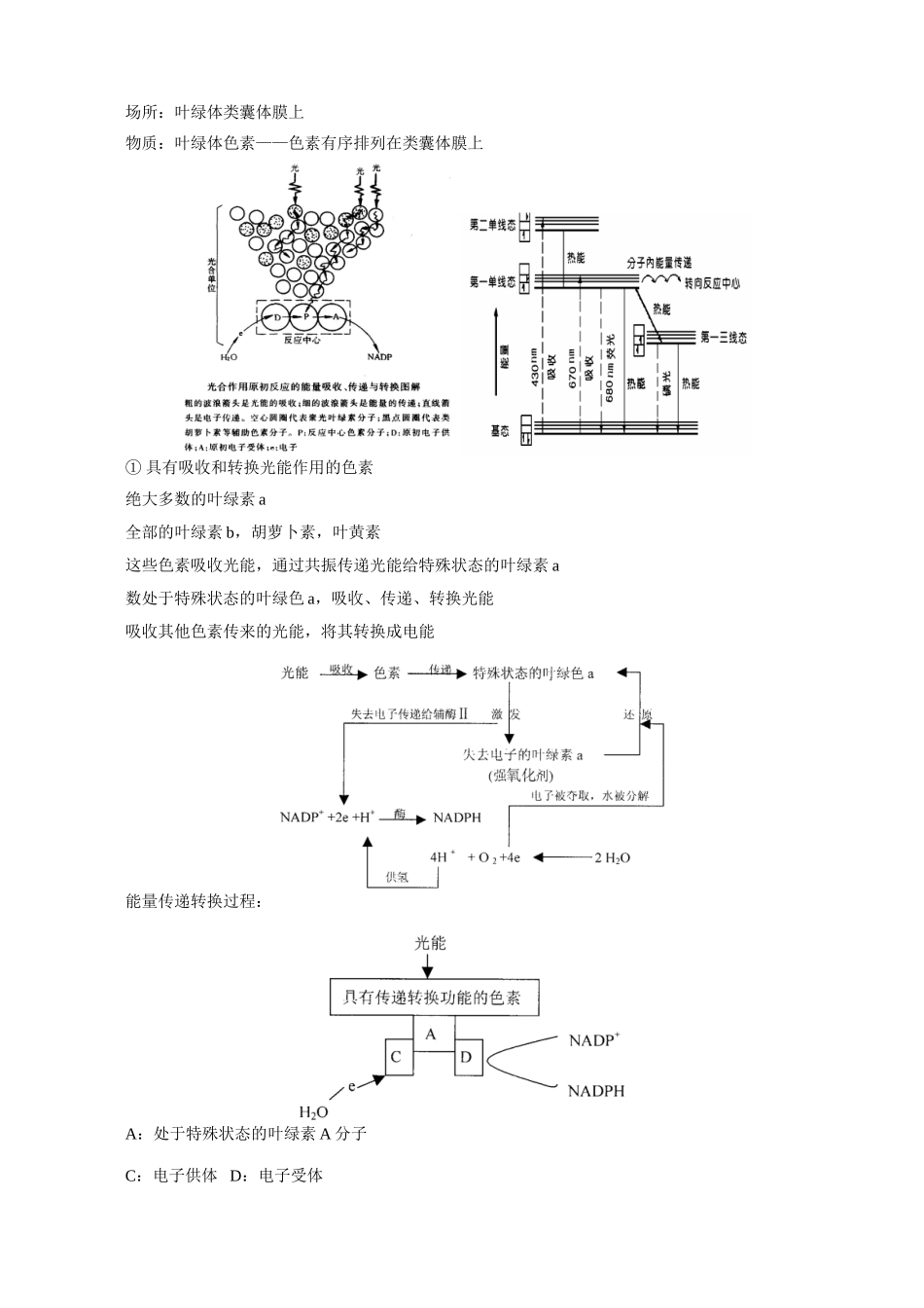 高三生物新课 光合作用 人教版_第2页