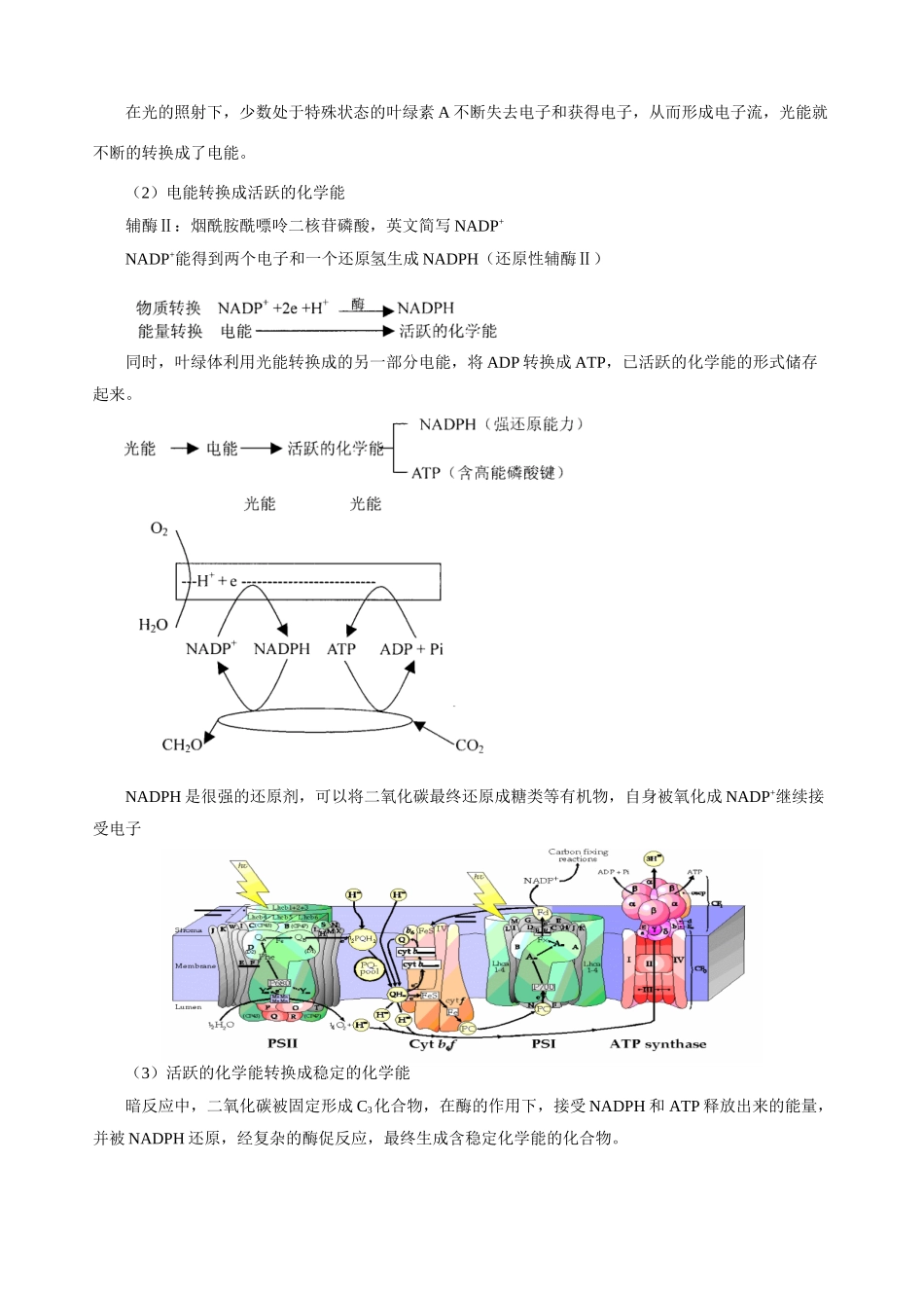 高三生物新课 光合作用 人教版_第3页